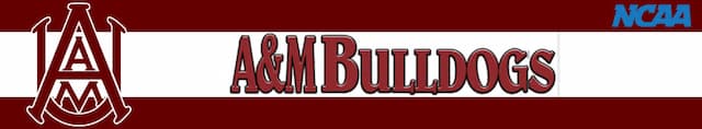 Alabama A and M artwork 4