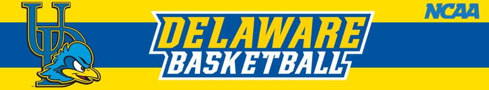 Delaware banner