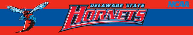 Delaware State artwork 3