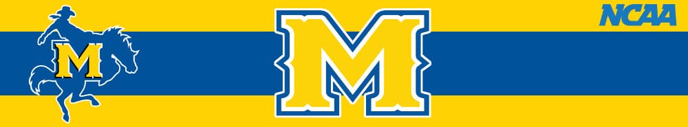 McNeese State banner