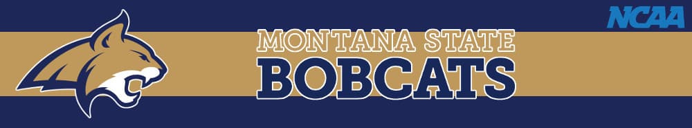 Montana State banner