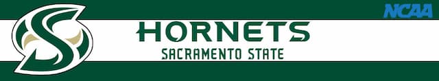 Sacramento State artwork 3