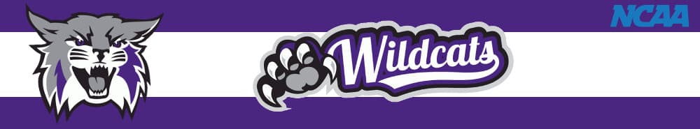 Weber State banner