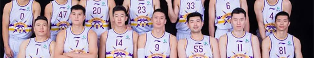 Beijing Royal Fighters banner