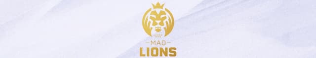 MAD Lions artwork 4