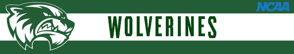 Utah Valley banner