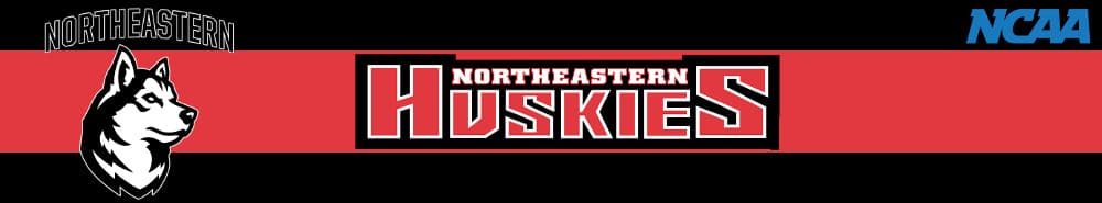 Northeastern banner