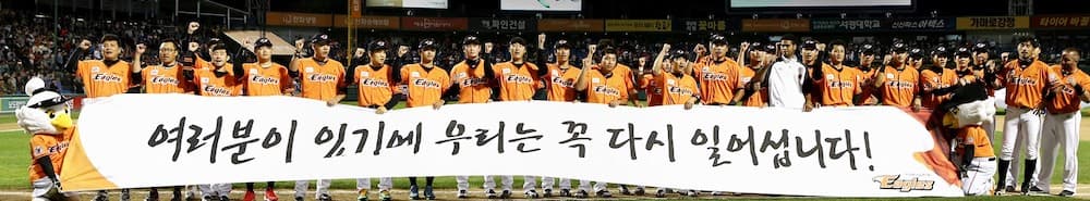 Hanwha Eagles banner