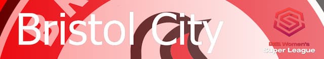 Bristol City WFC artwork 4