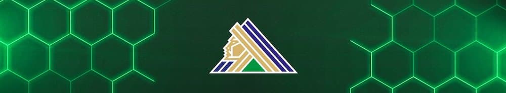 Salavat Yulaev Ufa banner