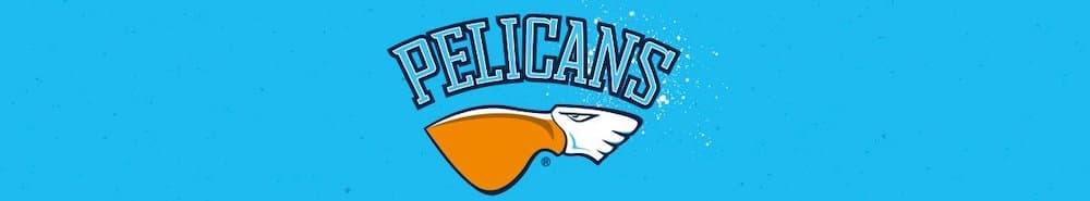 Pelicans banner