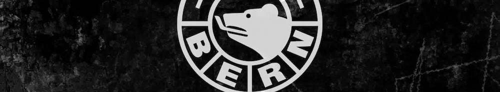 Bern banner