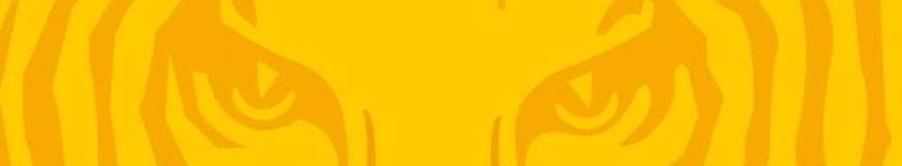 Langnau Tigers banner