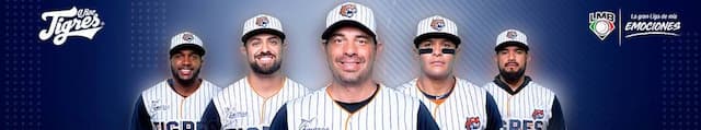 Tigres de Quintana Roo artwork 4