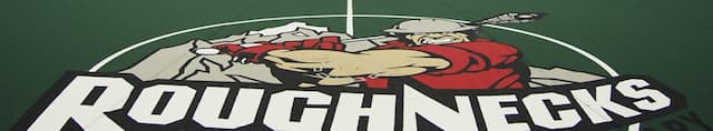 Calgary Roughnecks artwork 4