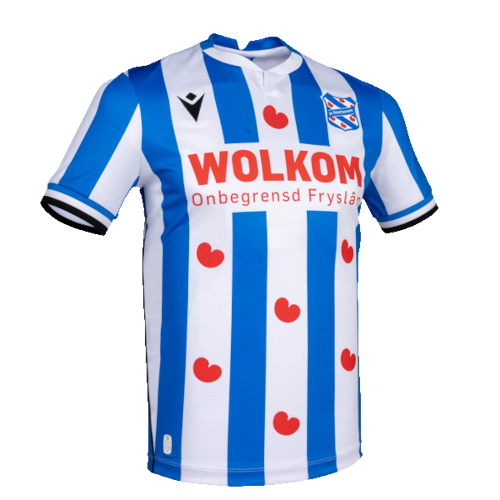 SC Heerenveen artwork 3