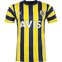 Fenerbahce jersey