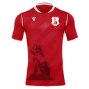 Panserraikos jersey