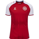 Denmark jersey