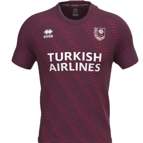 FK Sarajevo artwork 2