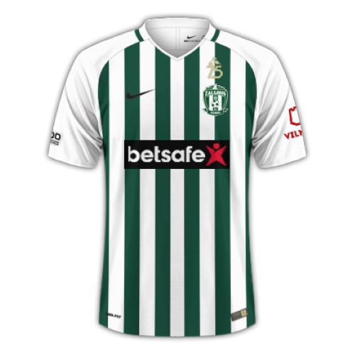 VMFD Zalgiris artwork 2