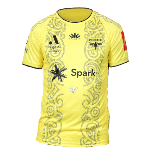 Wellington Phoenix artwork 3