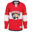 Florida Panthers kit