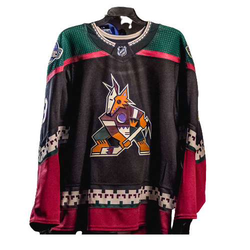 Arizona Coyotes artwork 3