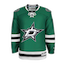 Dallas Stars kit