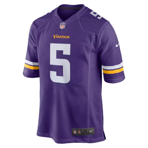 Minnesota Vikings artwork 3