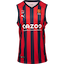 Baskonia kit
