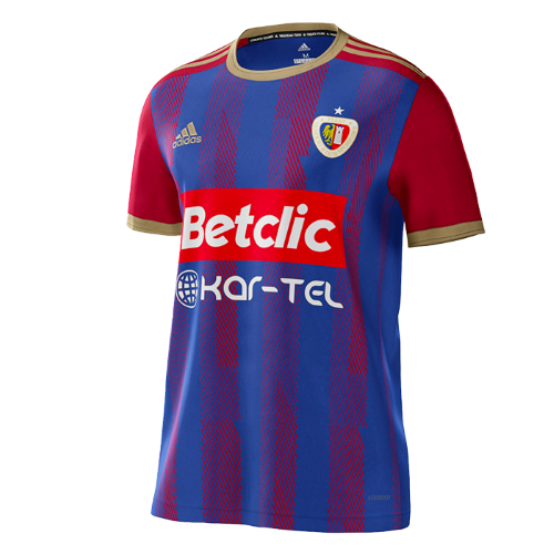 Piast Gliwice artwork 2