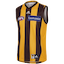 Hawthorn Football Club kit