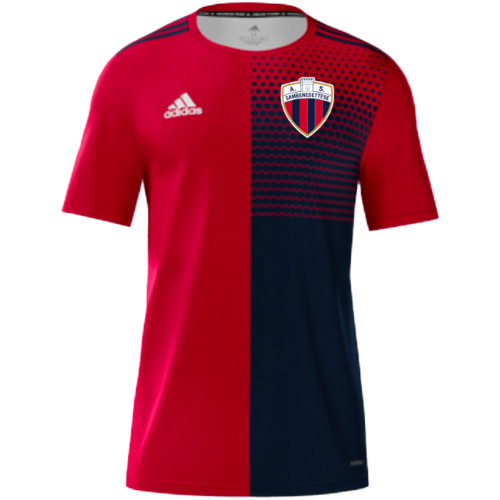 Sambenedettese artwork 2