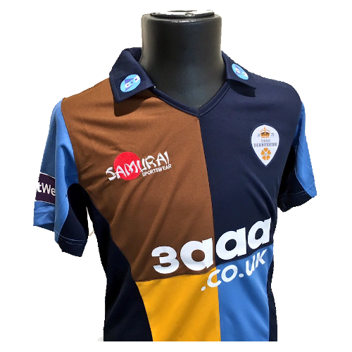 Derbyshire Falcons artwork 3