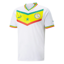 Senegal jersey
