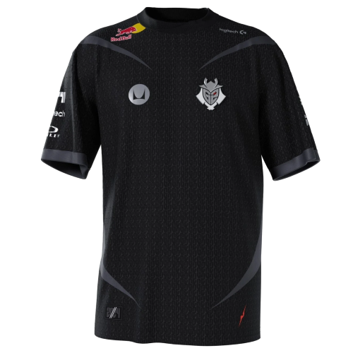 G2 Esports artwork 3