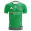 Celtic Dragons kit