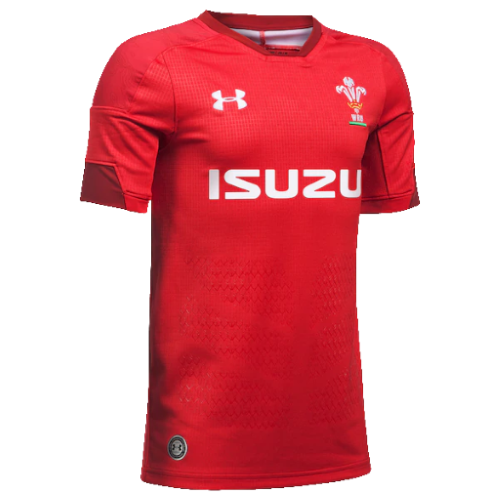 Wales Rugby artwork 3