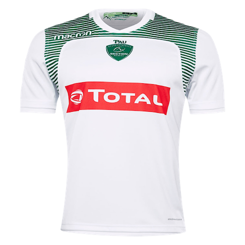 Section Paloise artwork 3