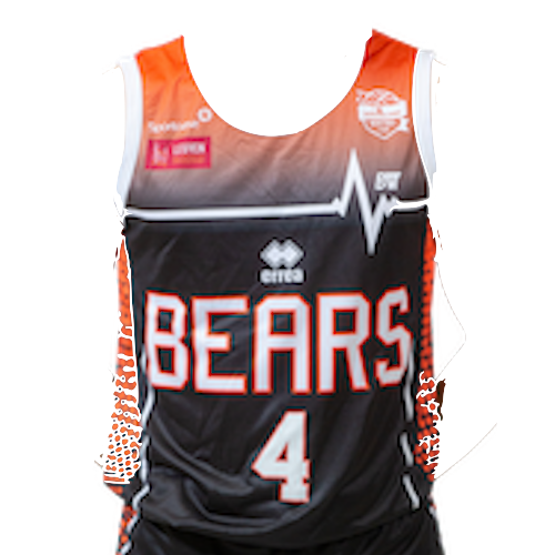 Leuven Bears artwork 3