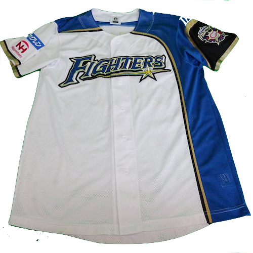 Hokkaido Nippon-Ham Fighters artwork 3