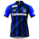 Gamba Osaka jersey