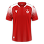 Partizani kit
