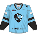 Dinamo Minsk jersey