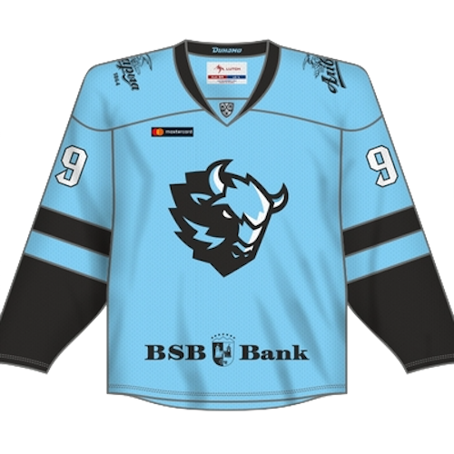 Dinamo Minsk artwork 3