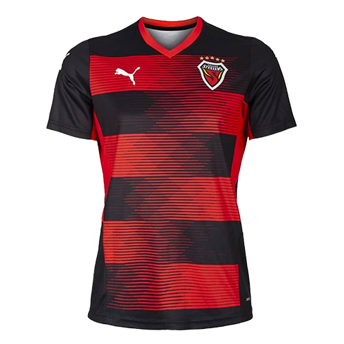 Pohang Steelers artwork 3