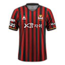 FC Seoul jersey