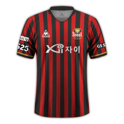 FC Seoul artwork 2