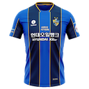 Ulsan Hyundai FC jersey